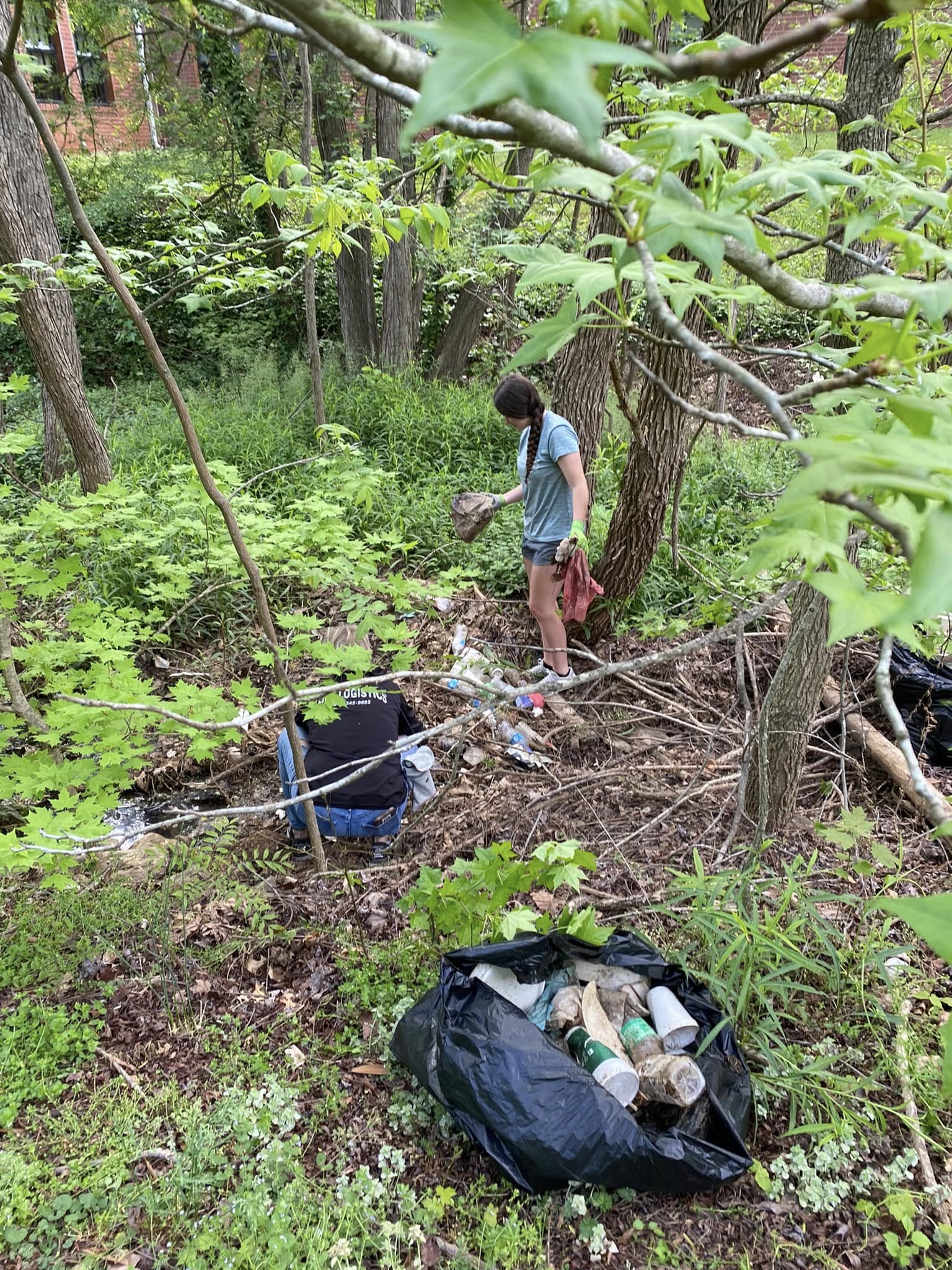 Litter pick up at Holt St. Park and along the creek