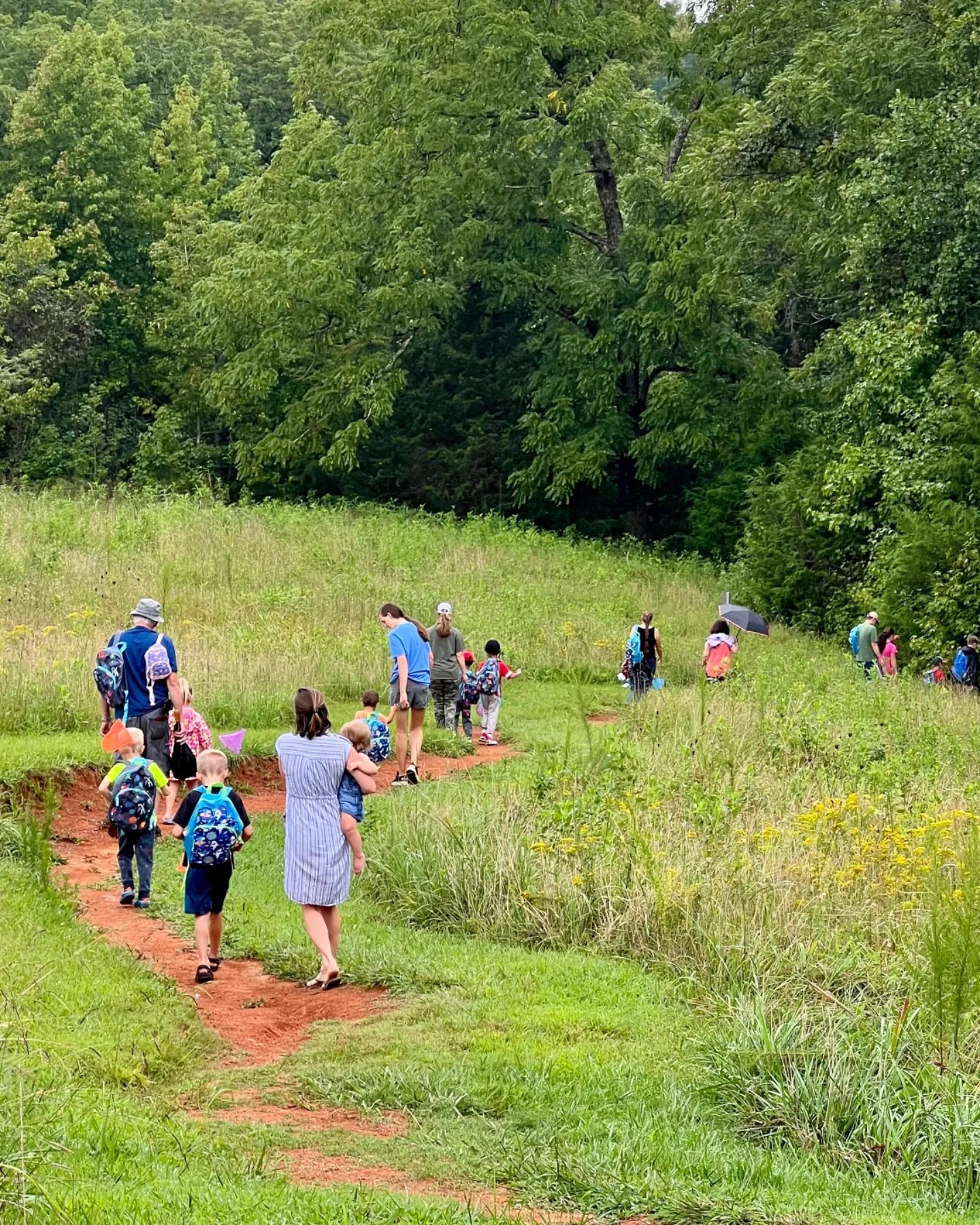 Little Explorers 'into the woods we go!' 